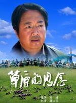 精品a视频