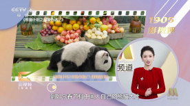 flou2官网下载国内载点2